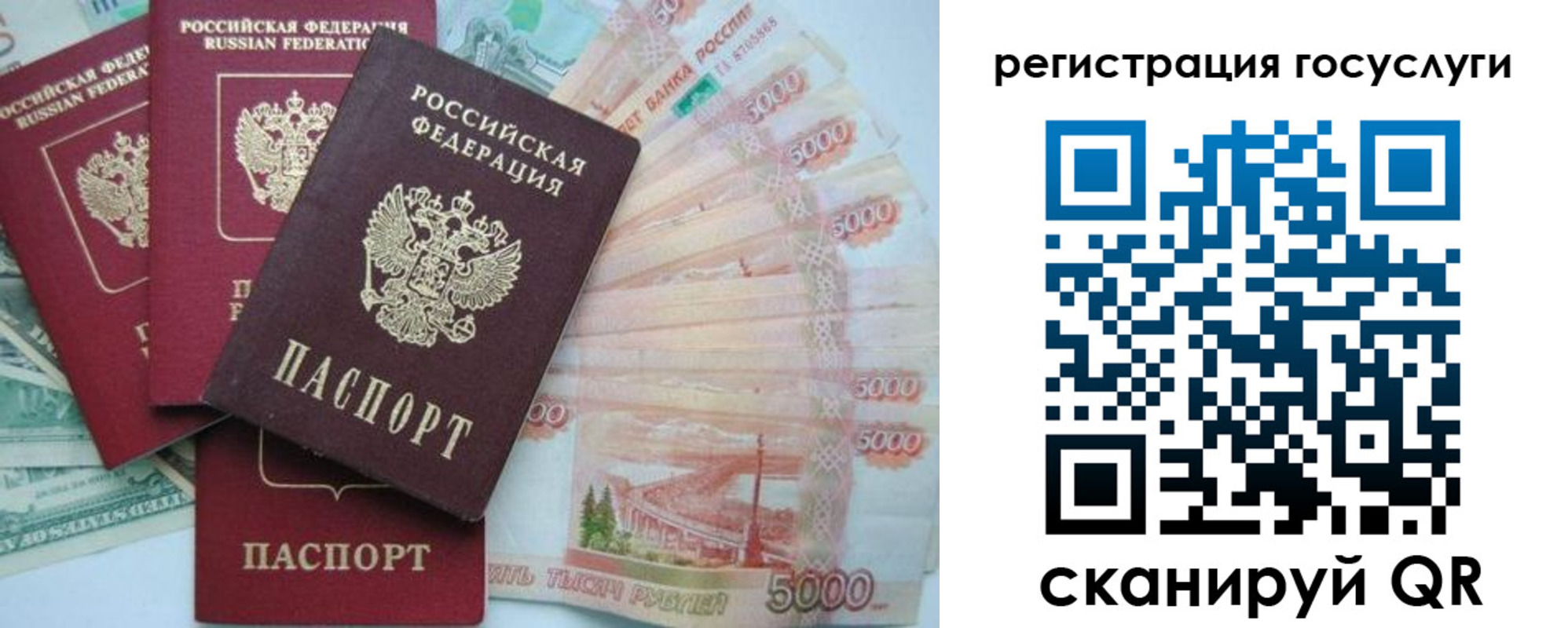 прописка иностранных граждан в Сахалинской области